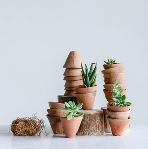 Mini Terracotta Pots