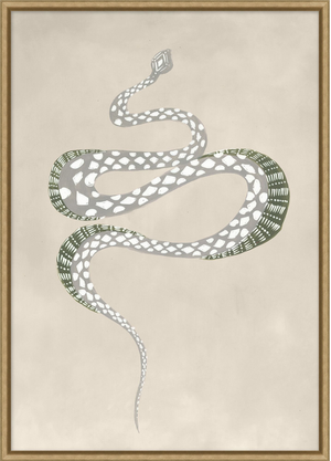 Framed "Snake 1" Print (Special order only)